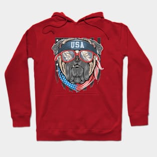 God bless America Hoodie